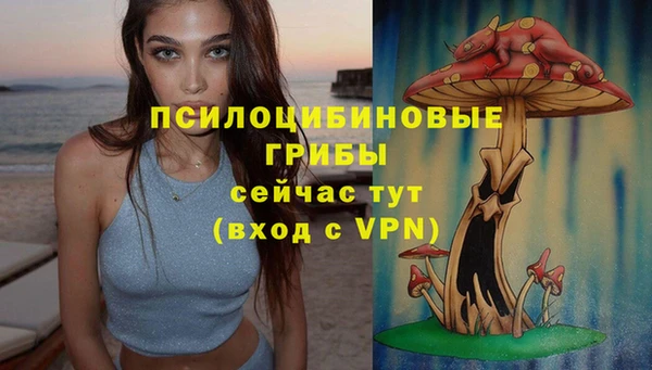 гидропоника Корсаков