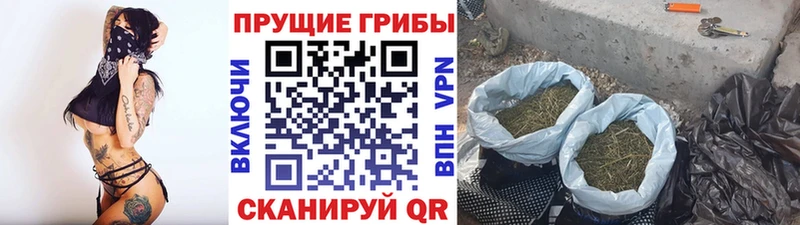 Псилоцибиновые грибы мухоморы  Купить  Юрьев-Польский 