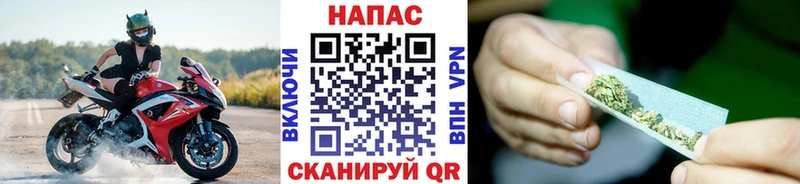 Конопля план  Купить закладки  Юрьев-Польский 